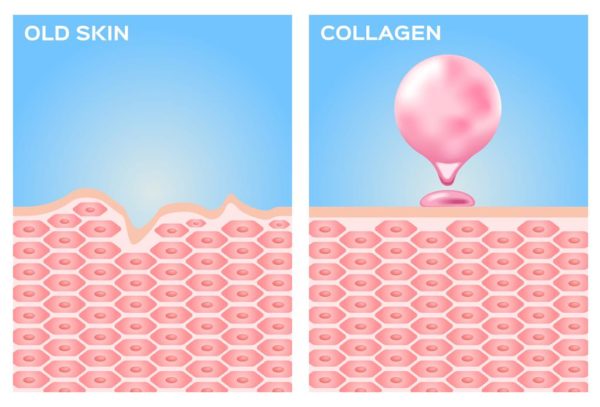 Why our Skin is Important - OHMY
